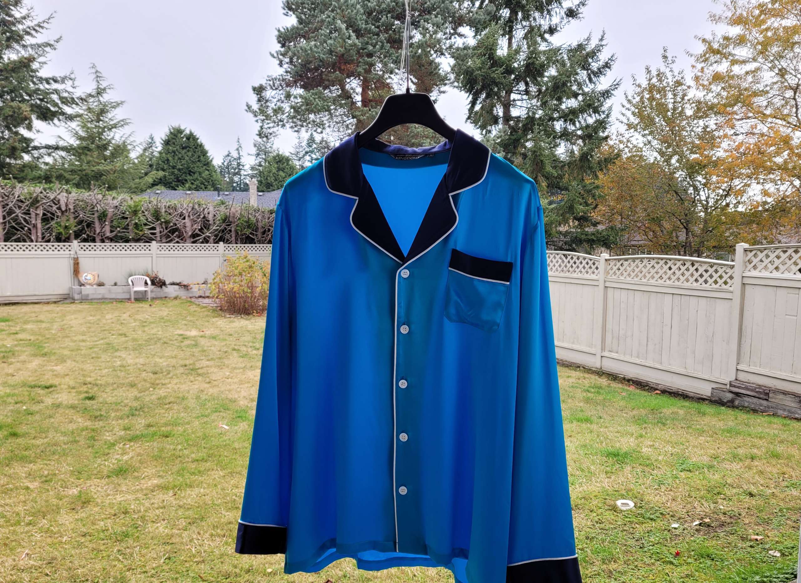 How to Iron Silk StepbyStep Instructions 1000 Kingdoms